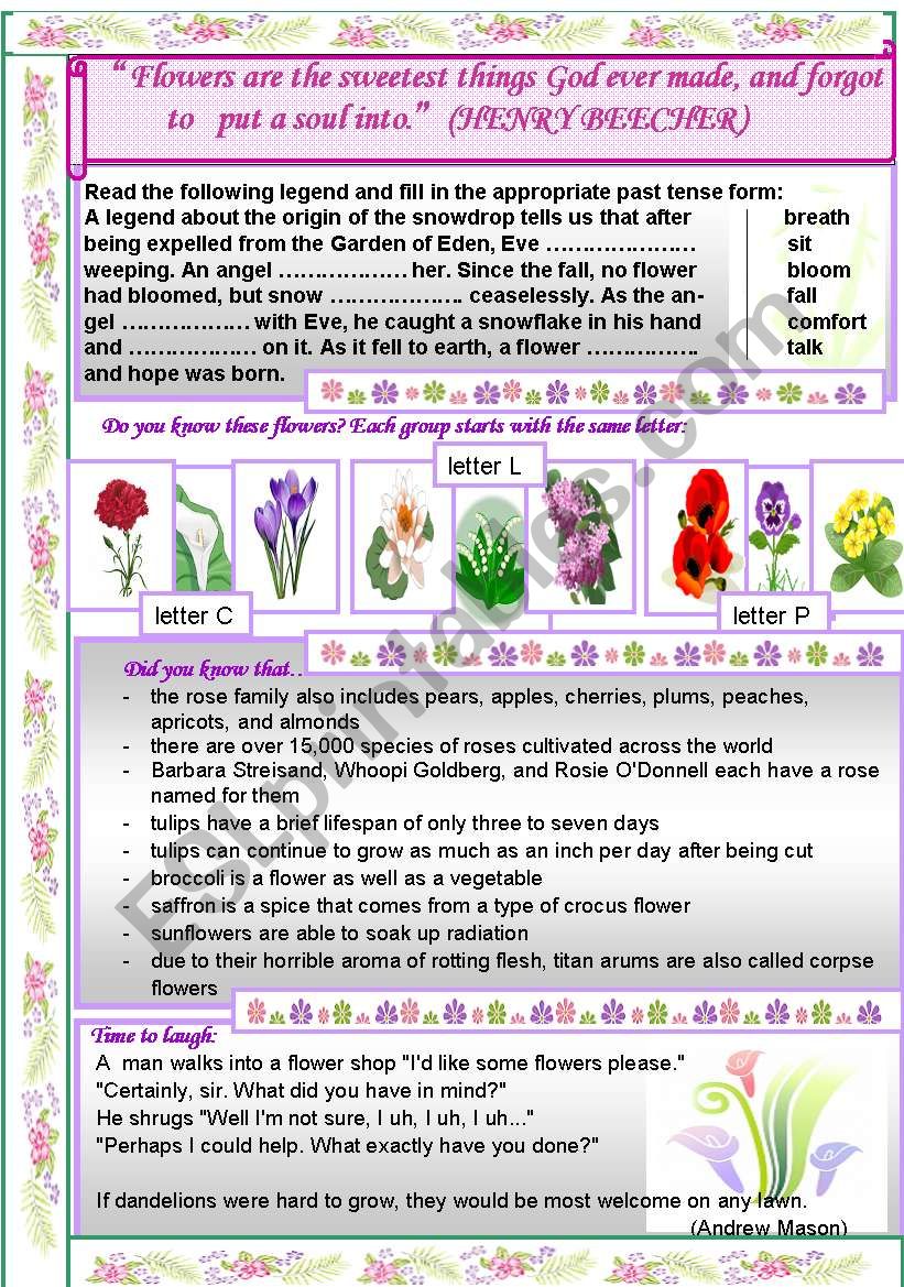 Flowers worksheet