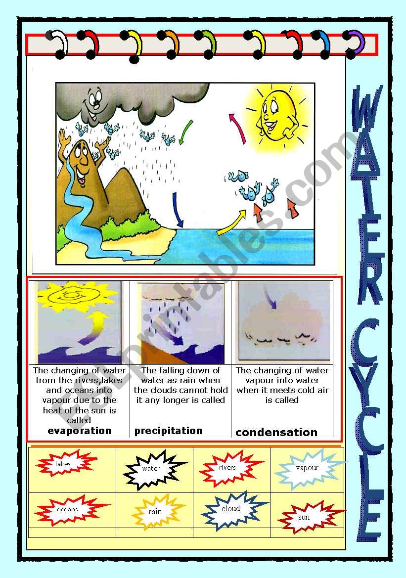 WATER CYCLE worksheet