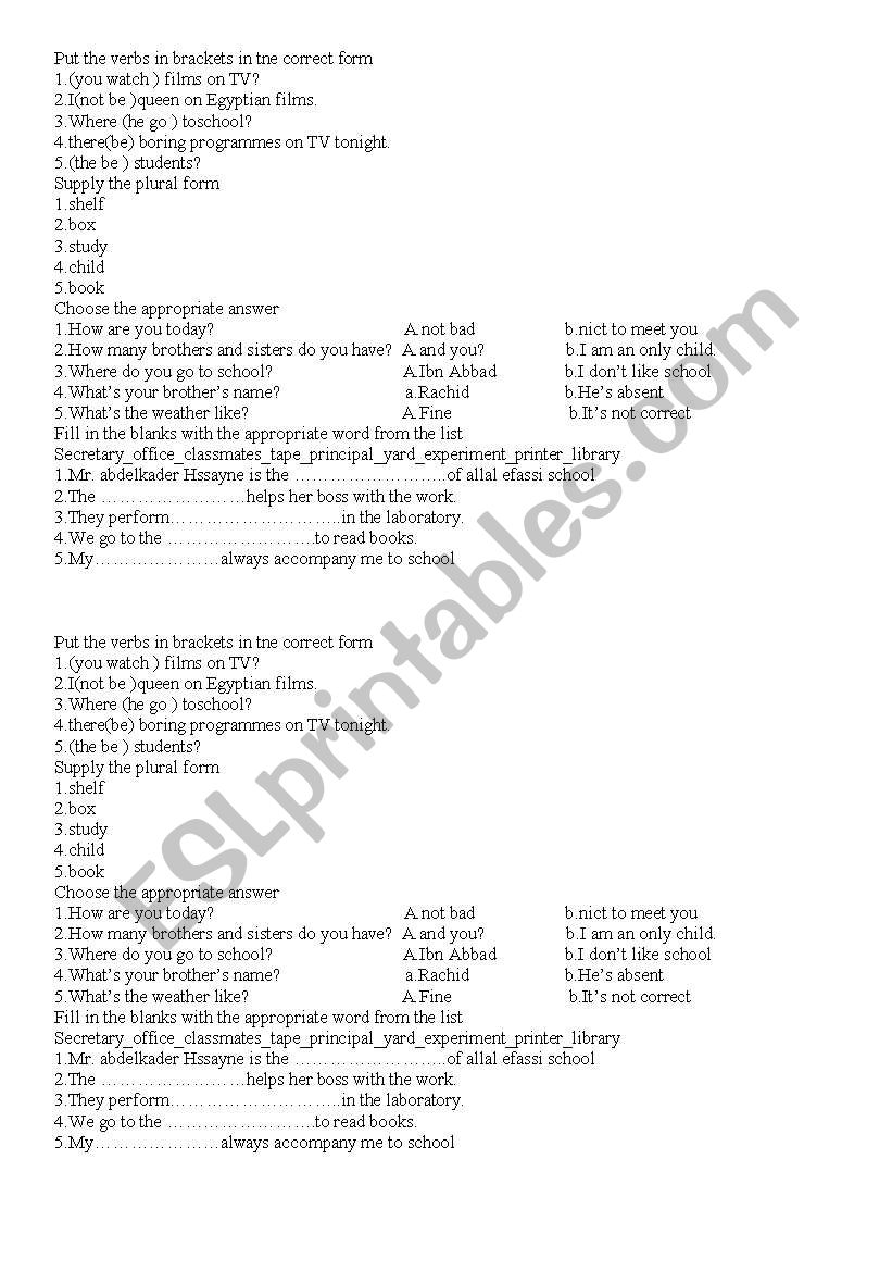 grammar and vocabulary worksheet