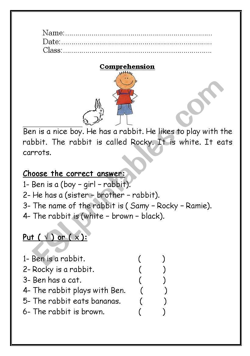 Reading Comprehension worksheet