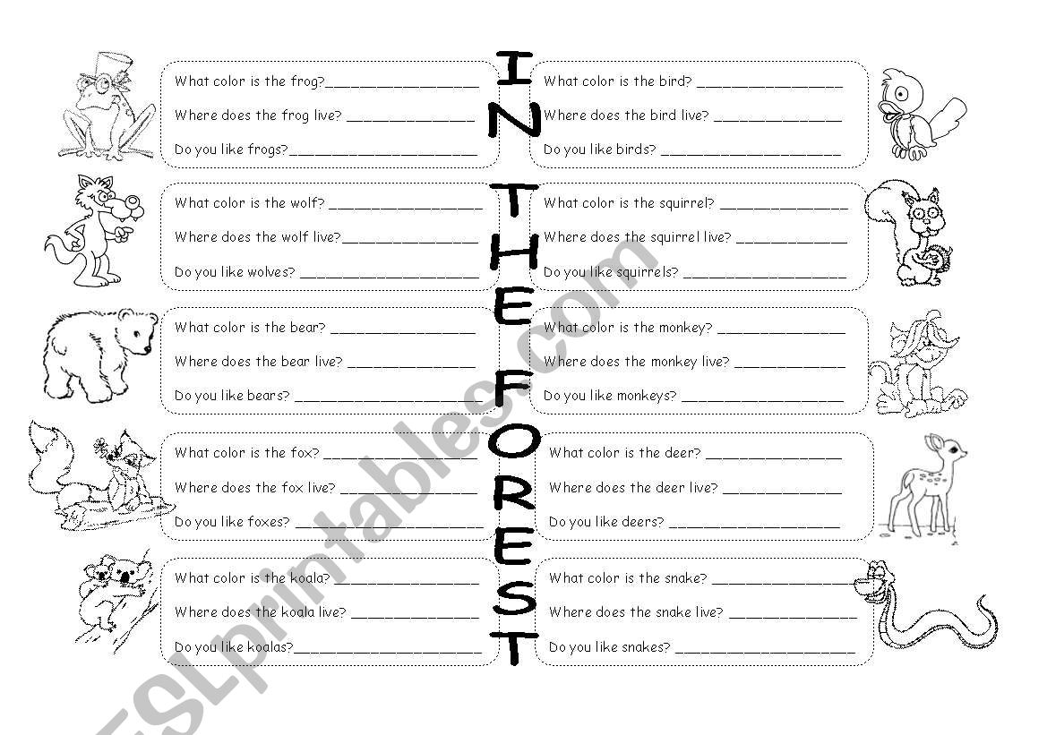 In the Forest worksheet