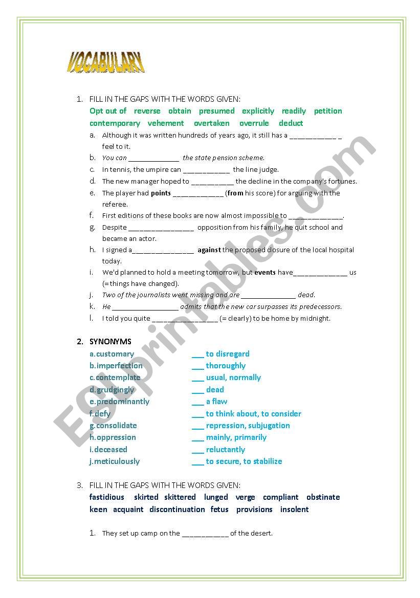 VOCABULARY CHALLENGE worksheet