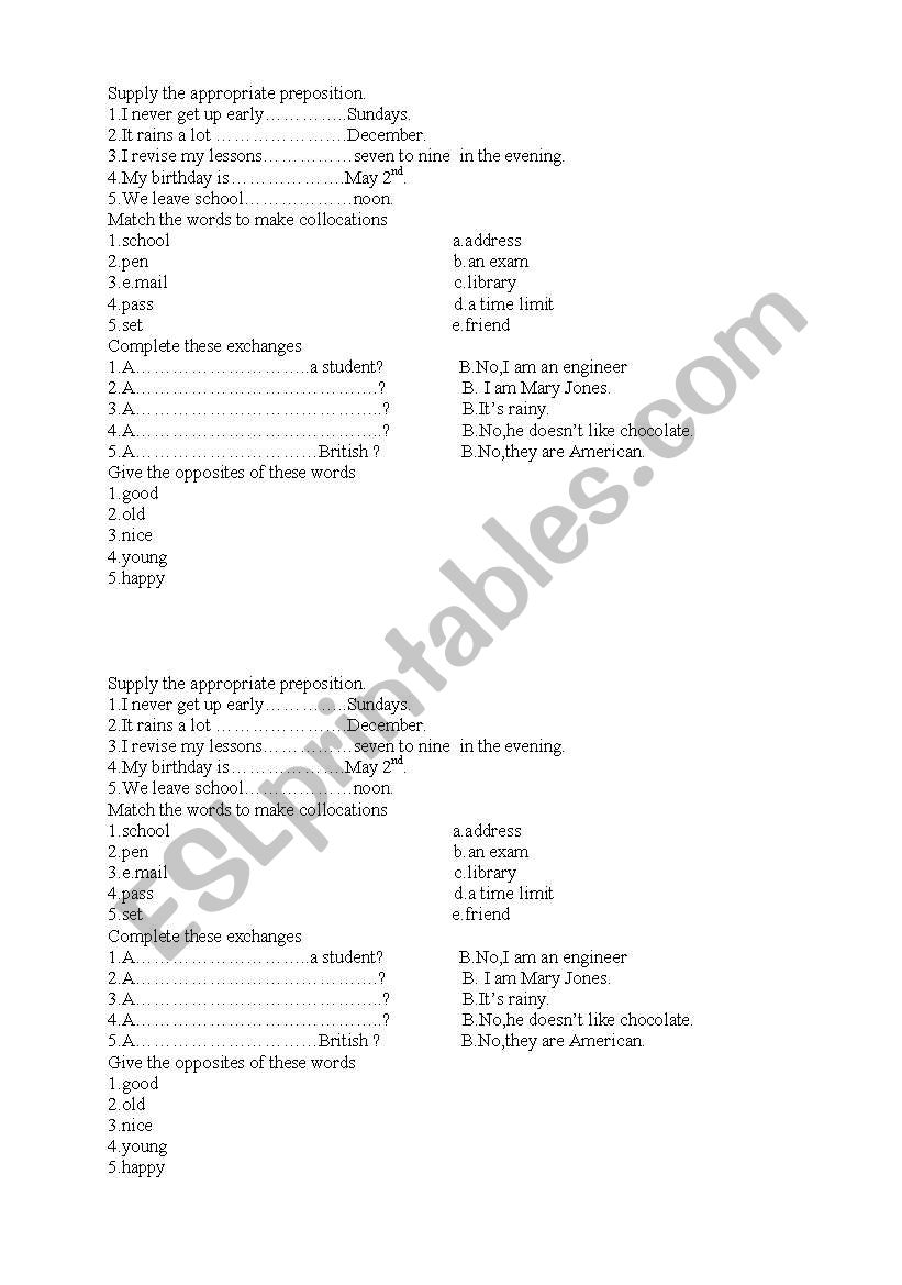 grammar and vocabulary worksheet