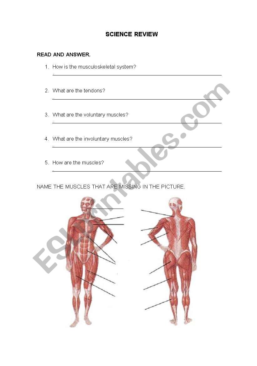 Science Review worksheet