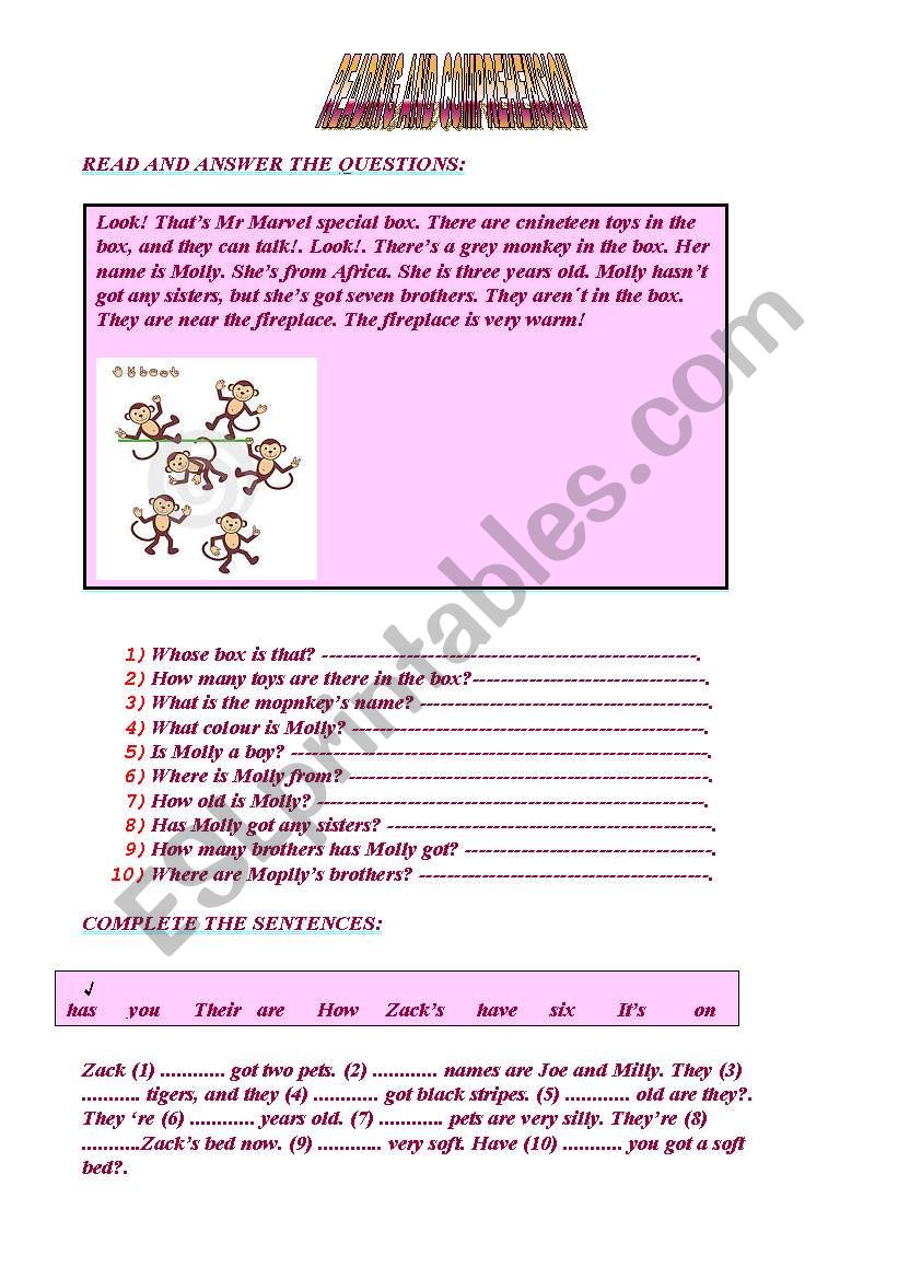 reading and comprehension worksheet