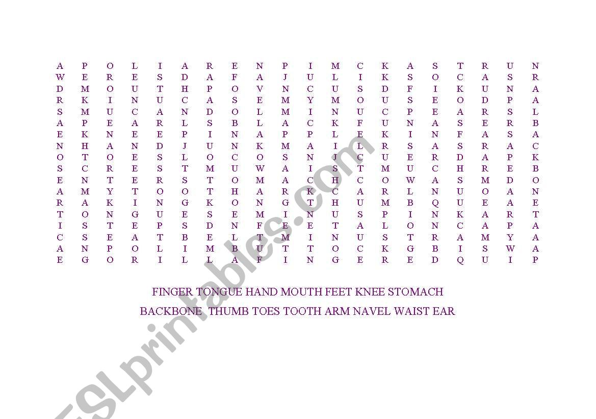 parts of the body worksheet