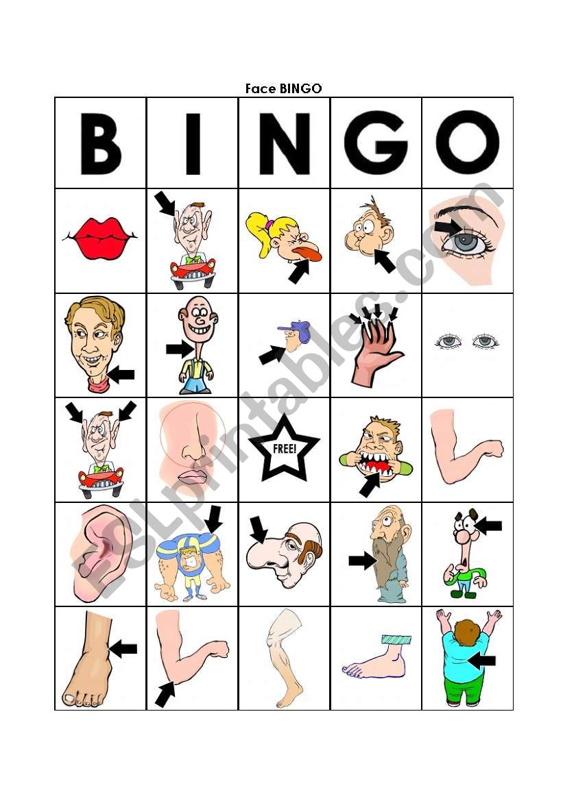 body bingo worksheet