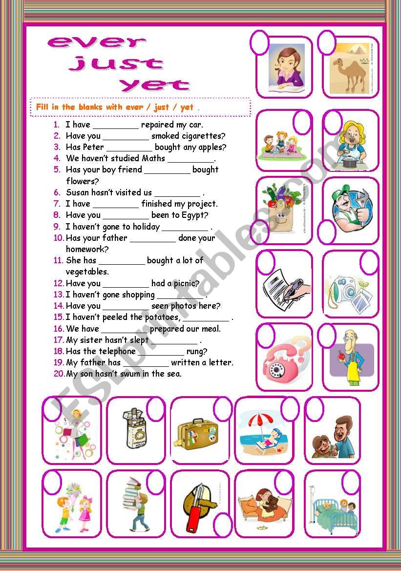 present perfect tense worksheet