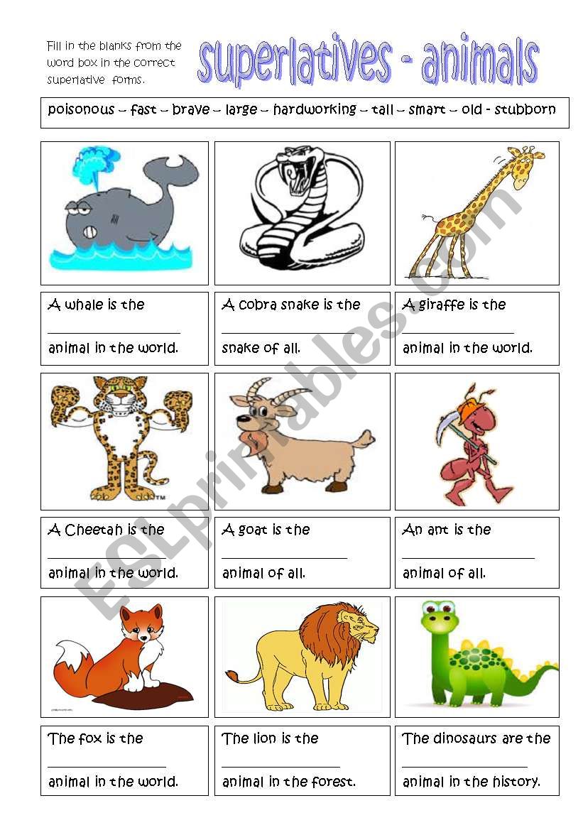 superlatives - animals worksheet