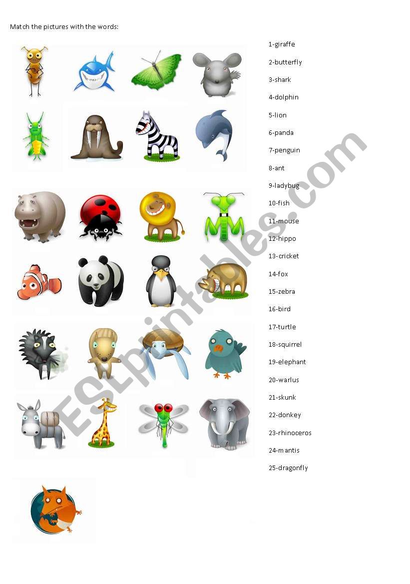 animals worksheet