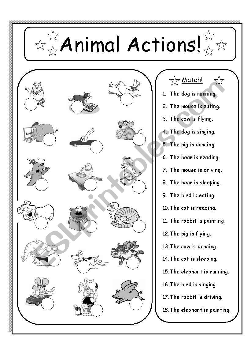 Animal Actions! worksheet