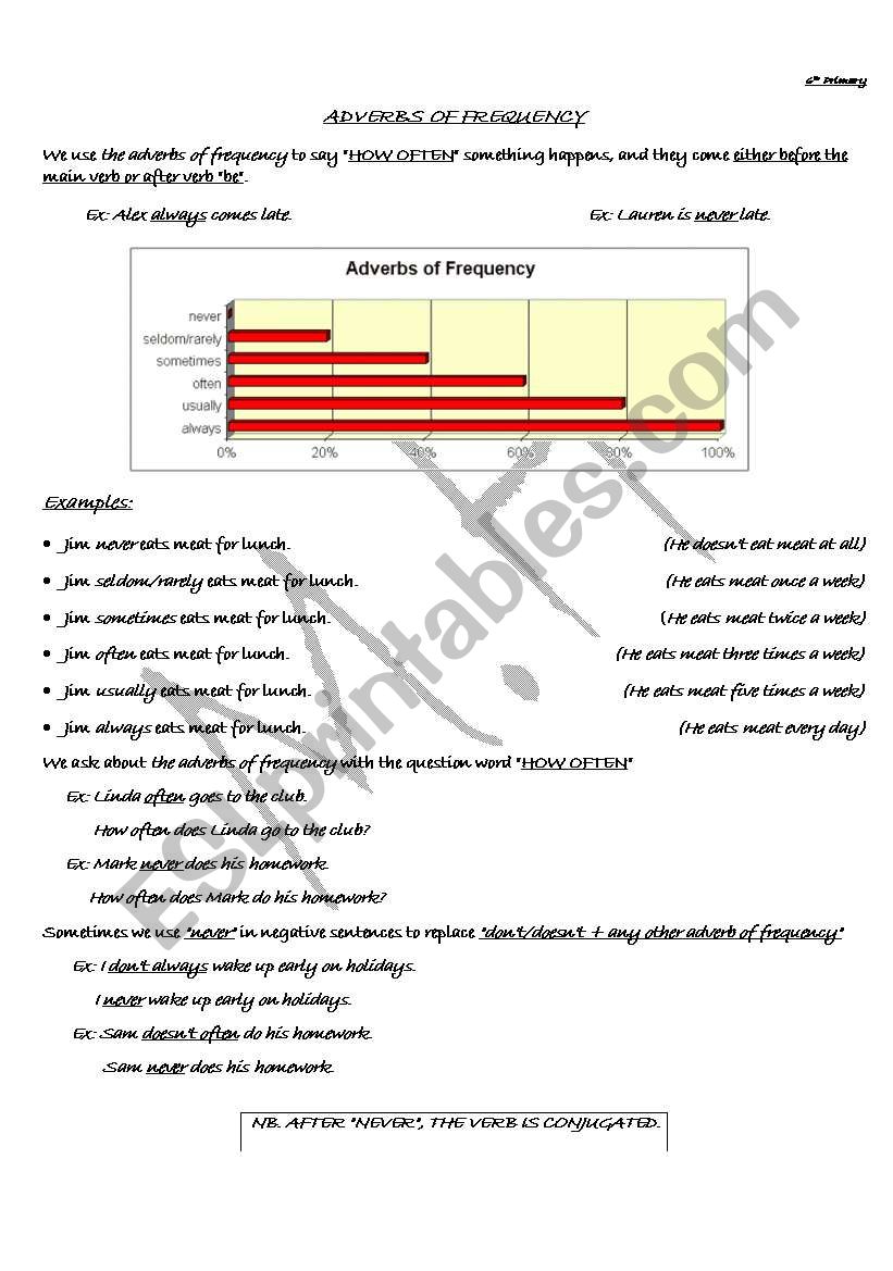 The adverbs of frequency worksheet