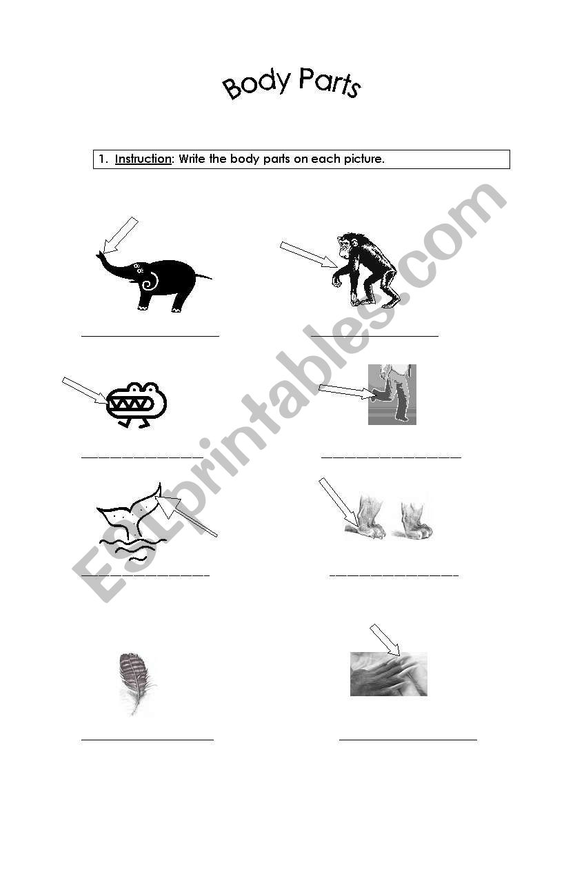 Body Parts worksheet