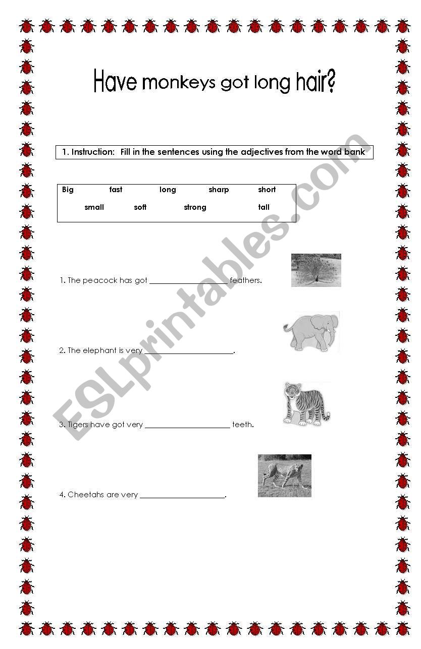 Adjectives and Animals worksheet