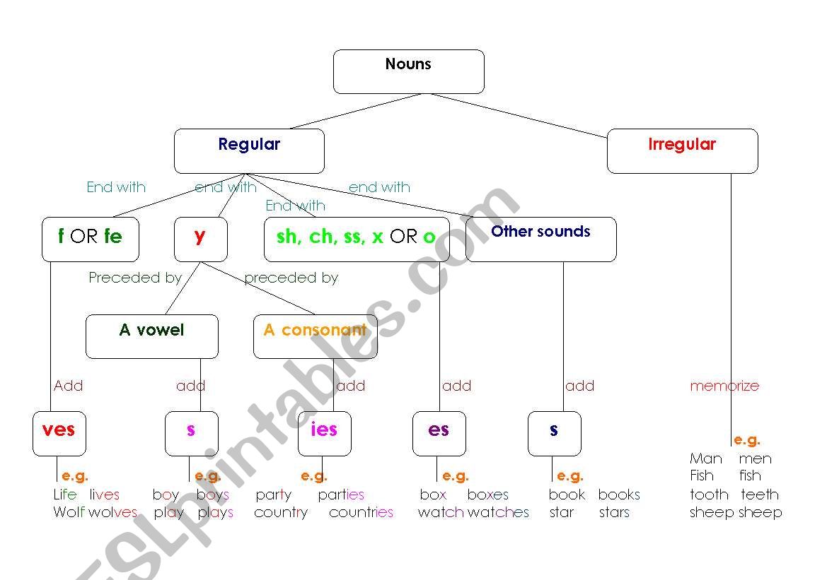 The plural of noun worksheet