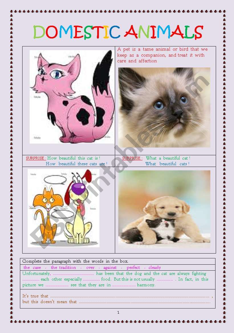 PETS  worksheet