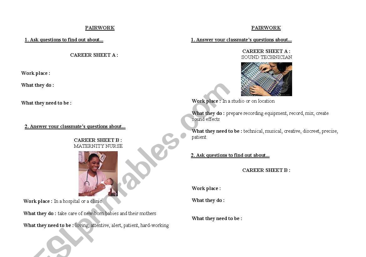 Pairwork : Career sheet worksheet