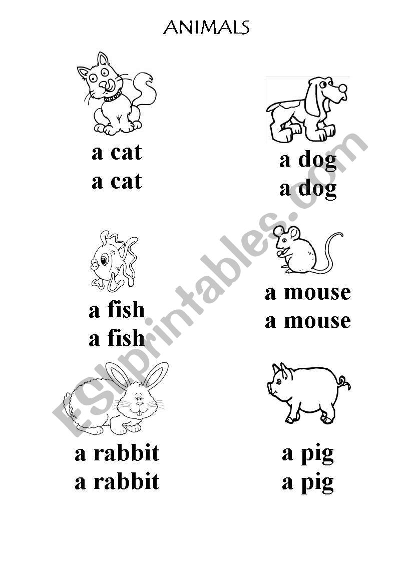 ANIMALS worksheet