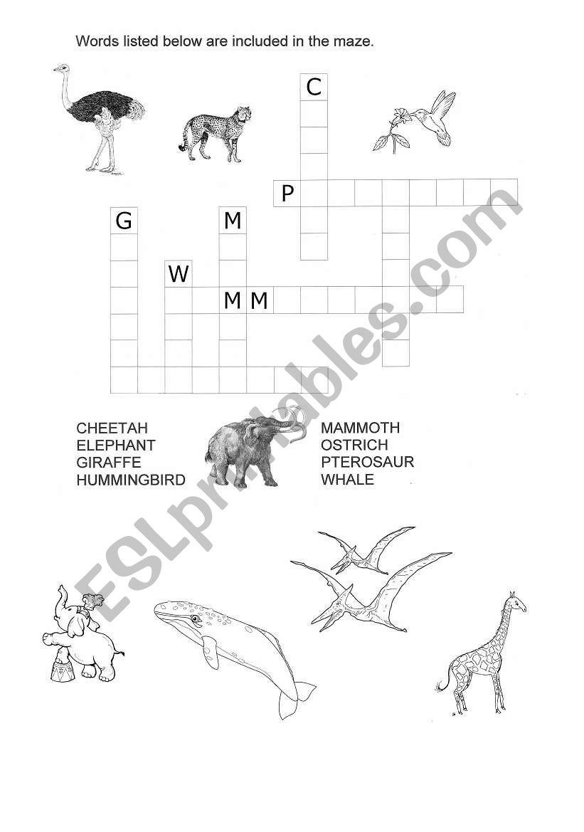 Animals of today and the past worksheet