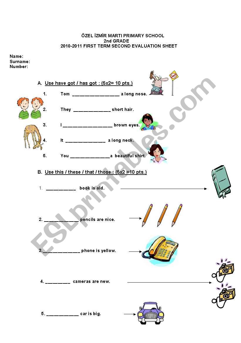 2ndgrade evaluation sheet worksheet