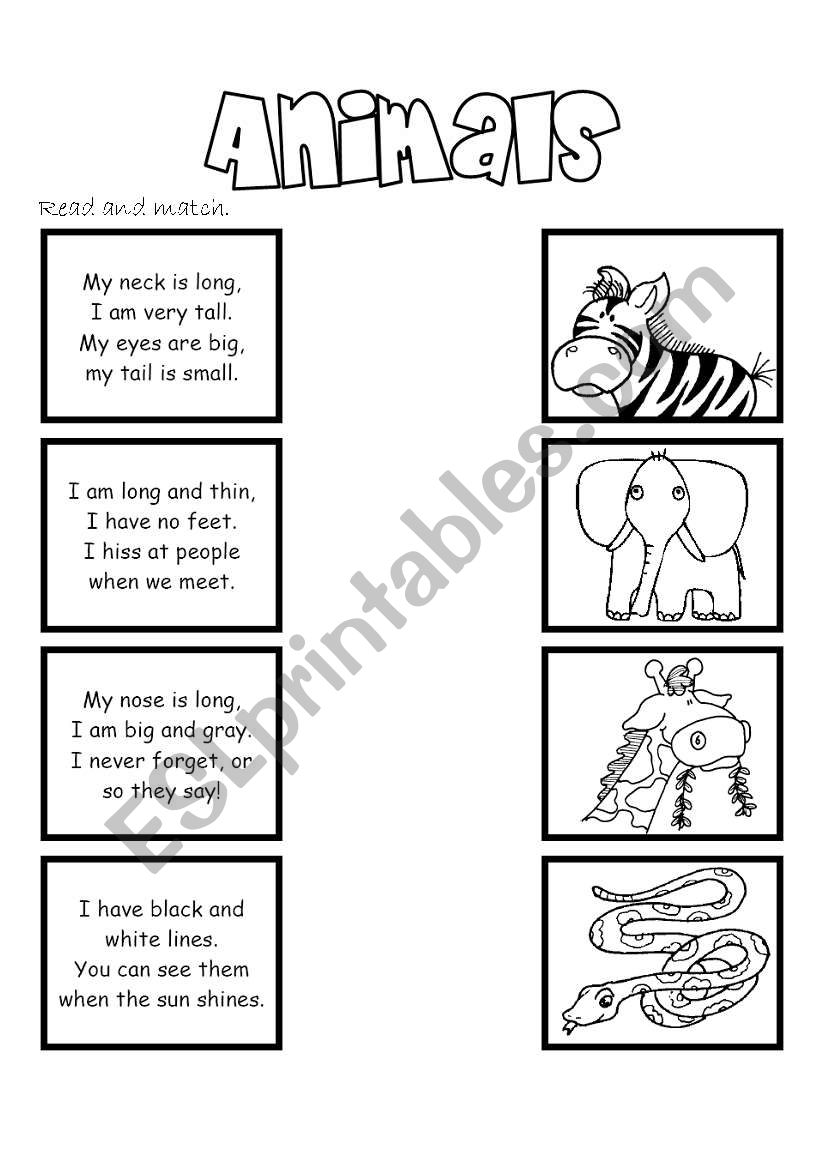 Animal riddles worksheet