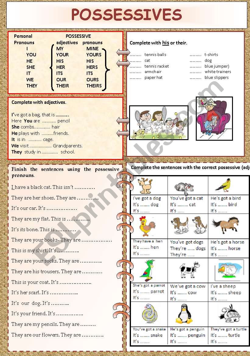 Possessives Worksheets Esl