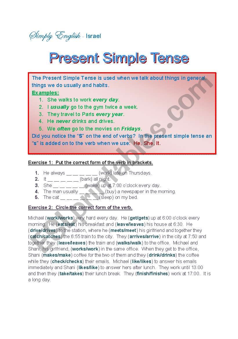 Present simple tense worksheet