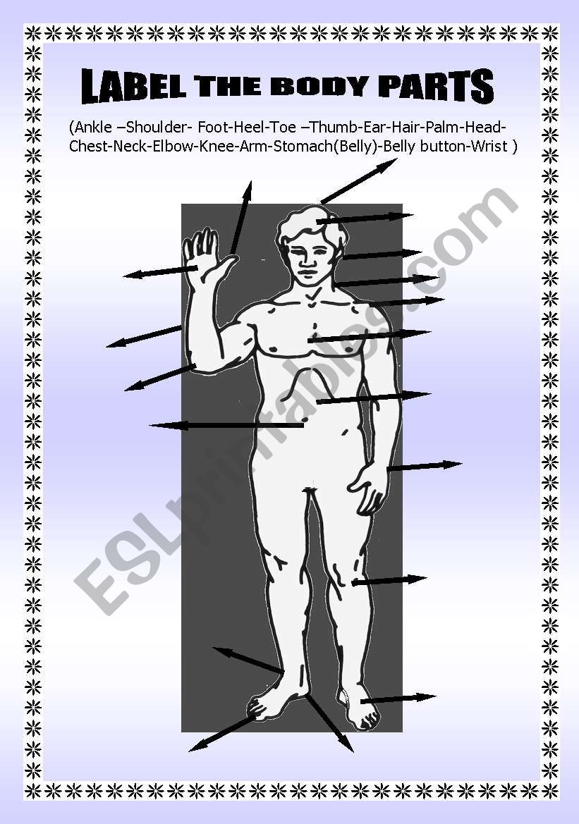 Label the body parts worksheet