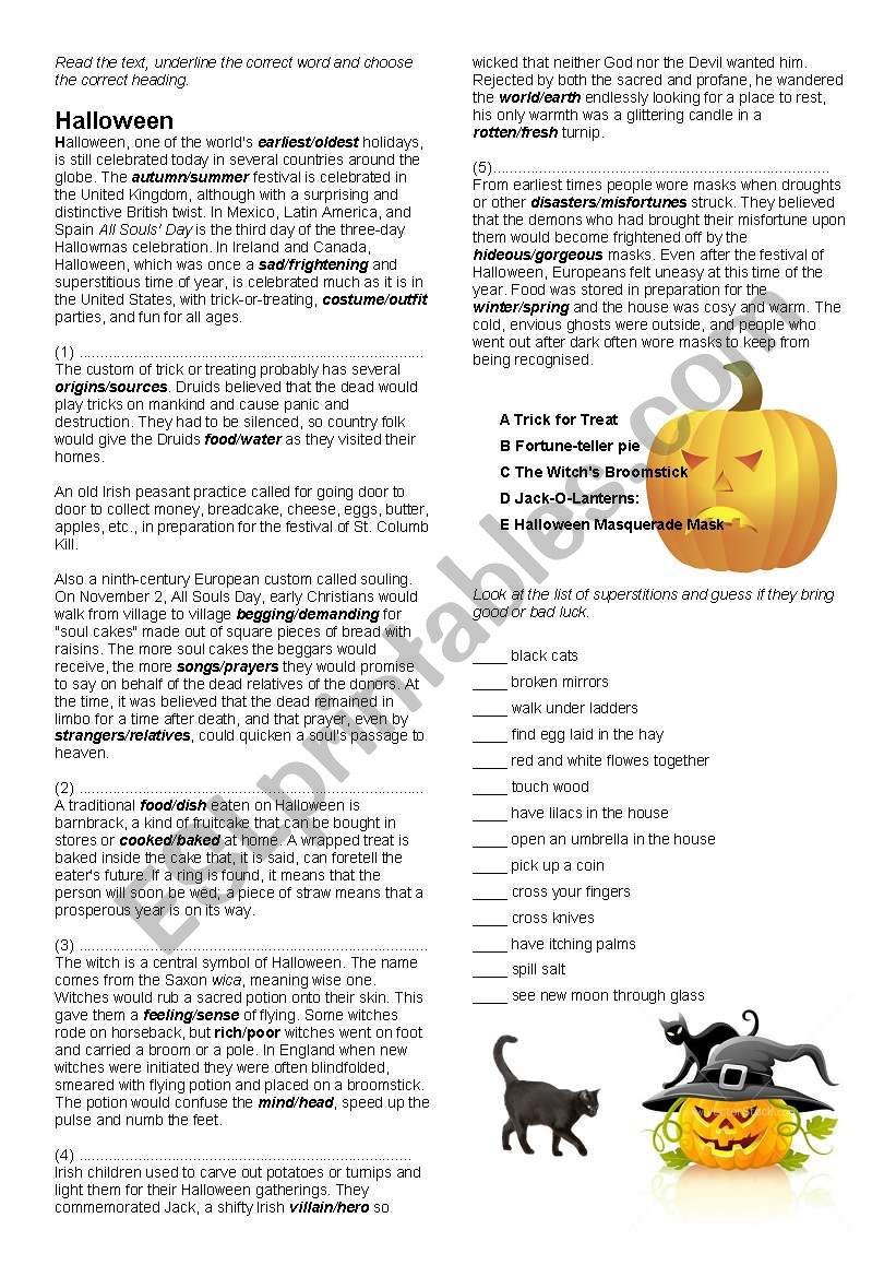 Halloween worksheet worksheet