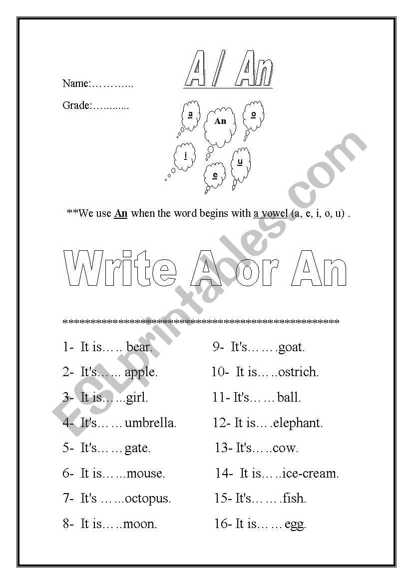 Using  a or an worksheet