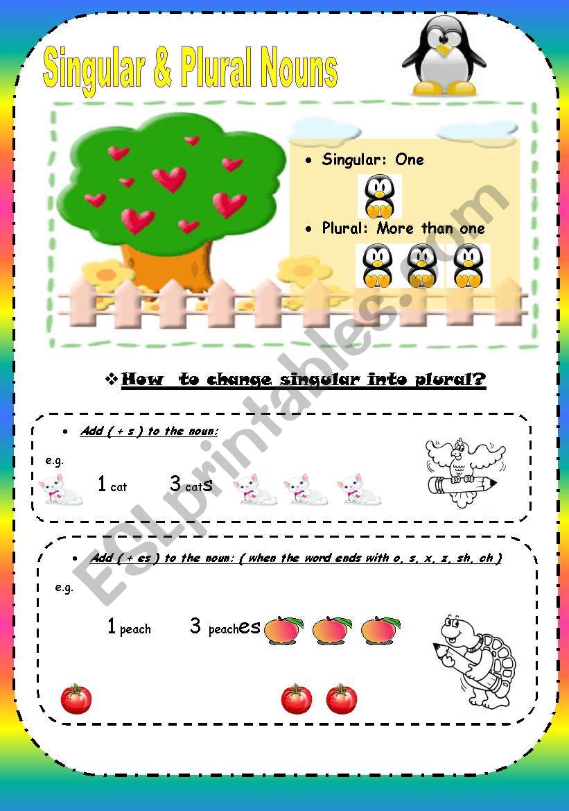 Singular and Plural nouns ( 4 Pages )