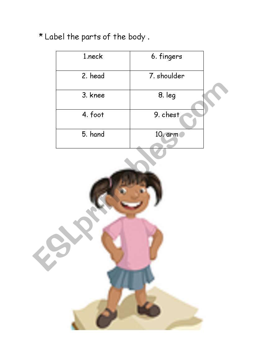 BODY  PARTS worksheet