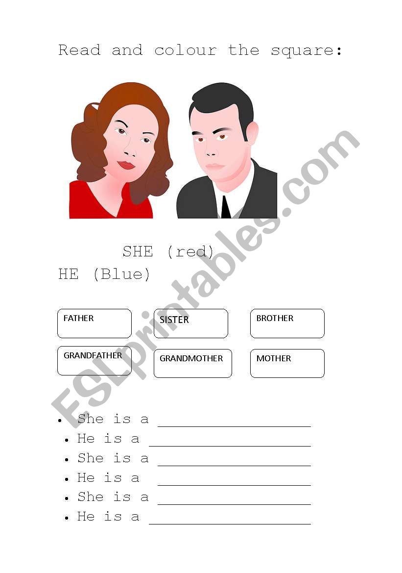 He - She worksheet