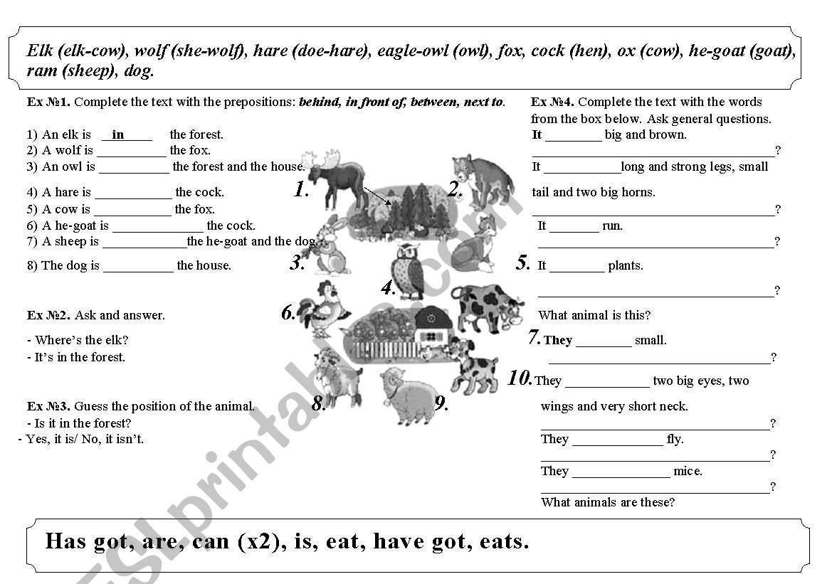 Animals and prepositions worksheet