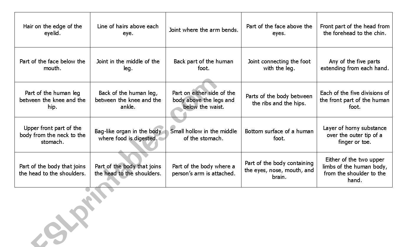 definitions of parts of body worksheet