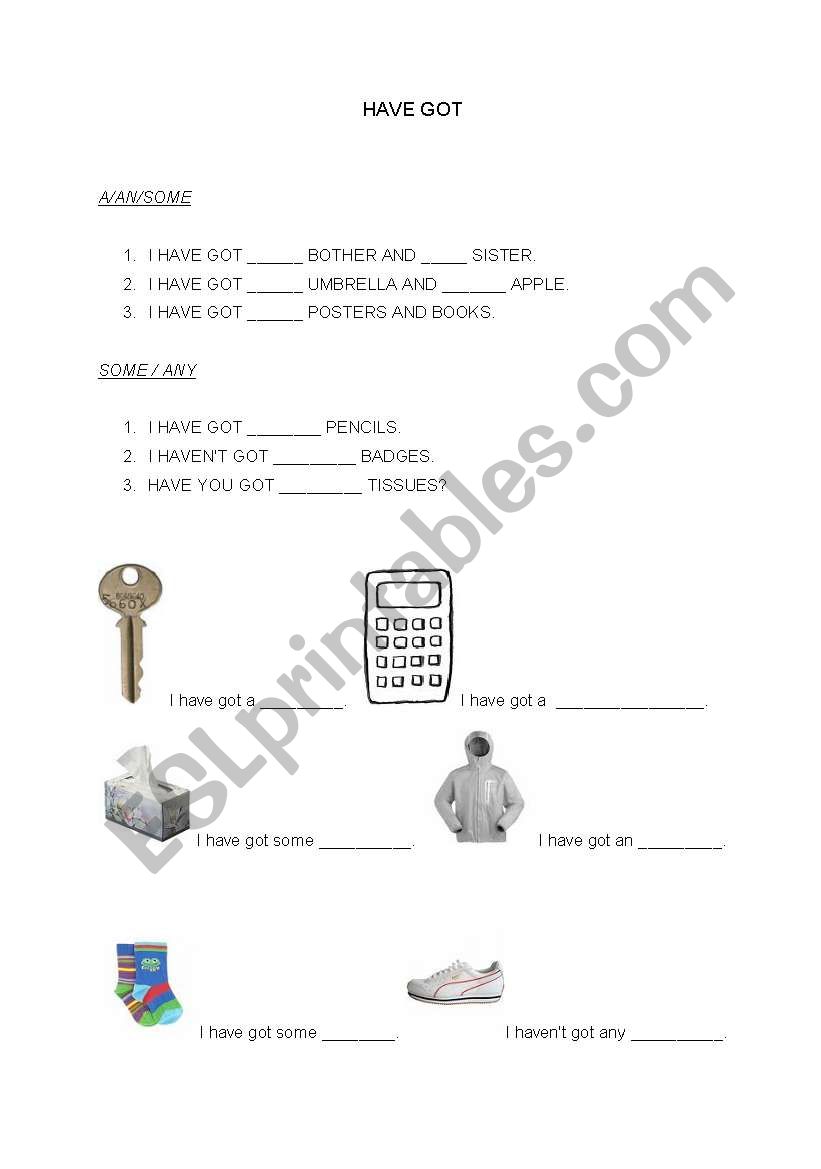 have/has got worksheet