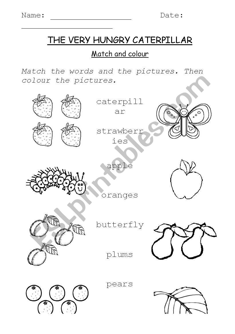 The Very Hungry Caterpillar Match And Color Esl Worksheet By Saraworth44