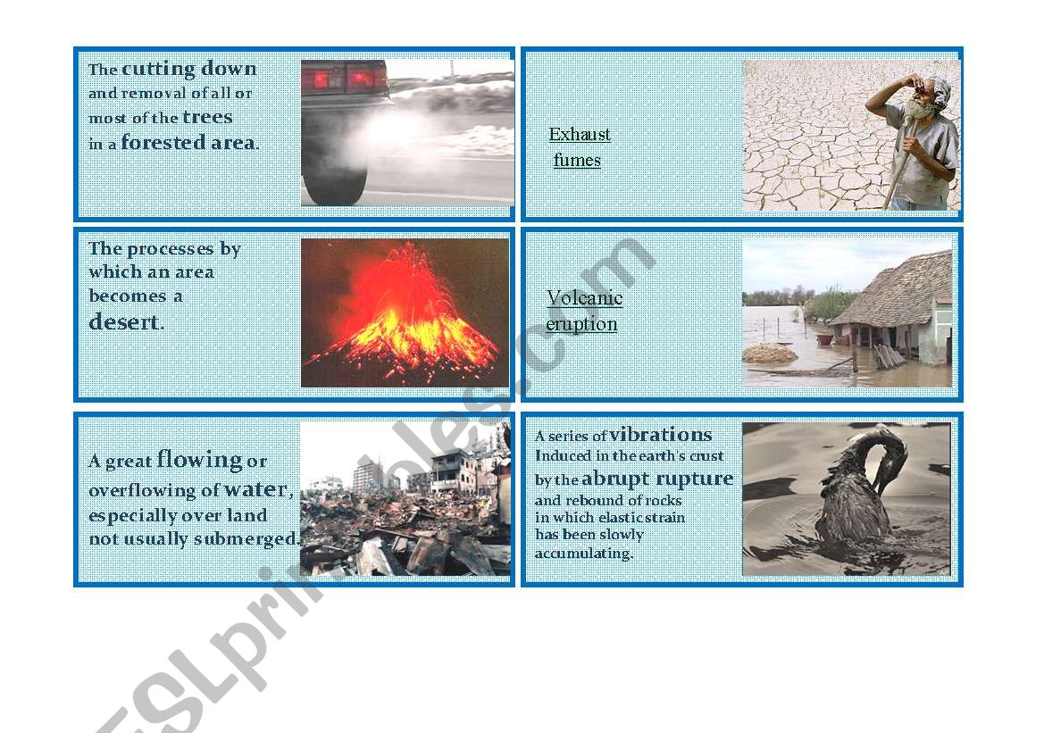 Environmental Damage Domino worksheet