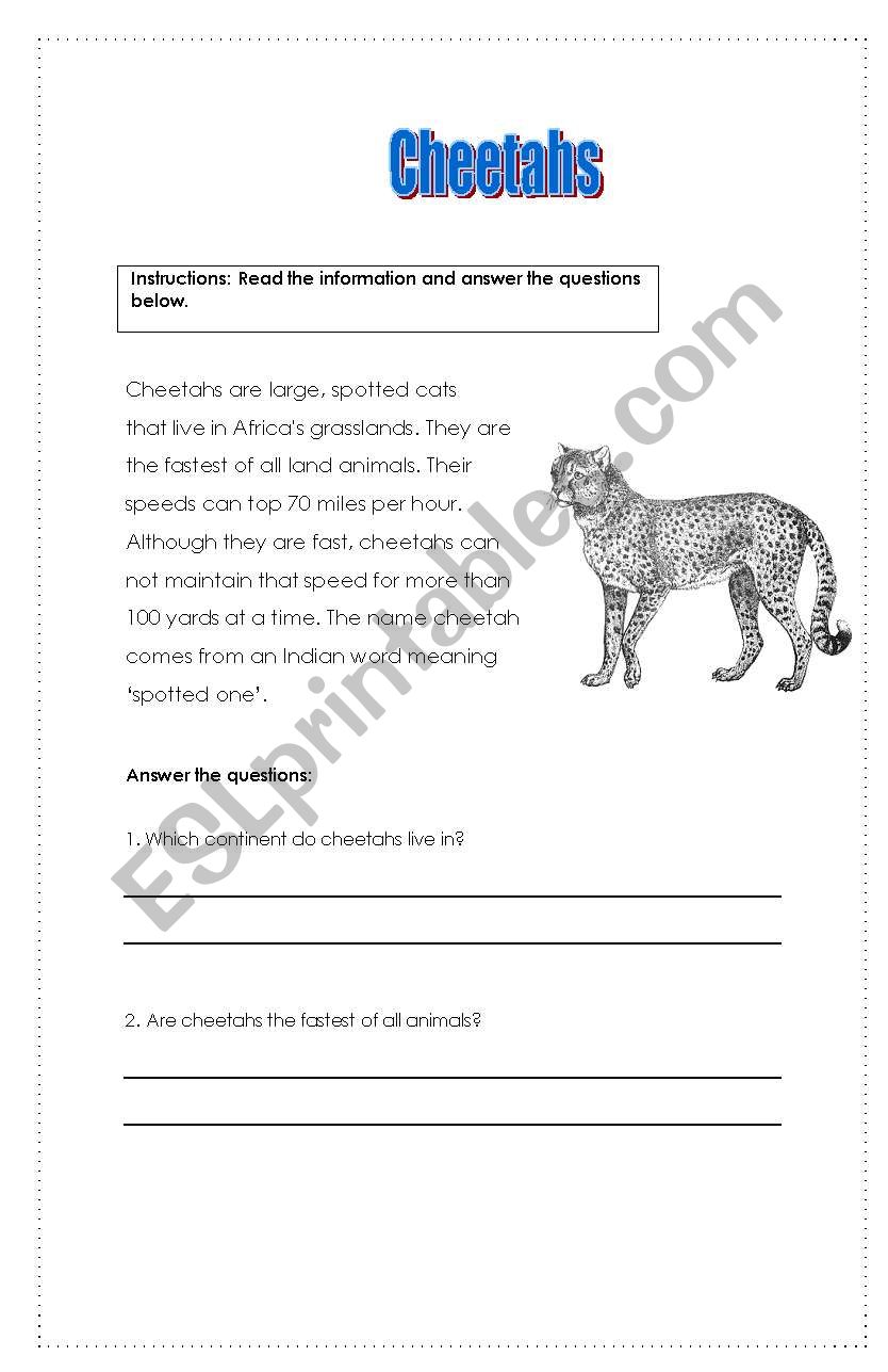 Cheetahs Reading Comprehension