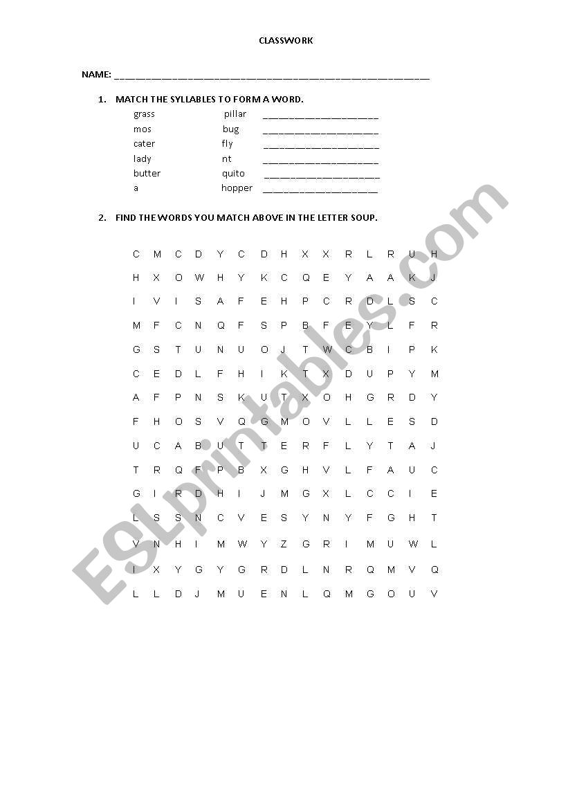 CLASSWORK worksheet