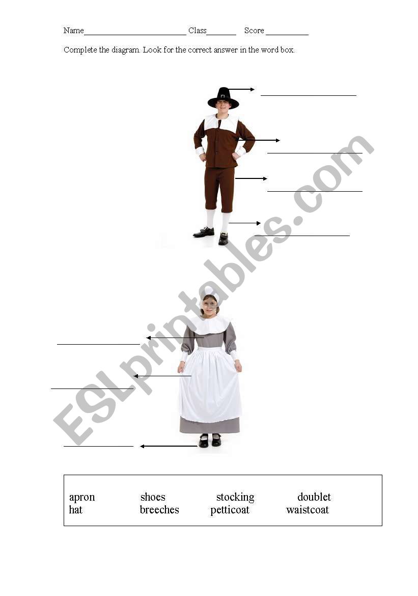 pilgrim diagram worksheet