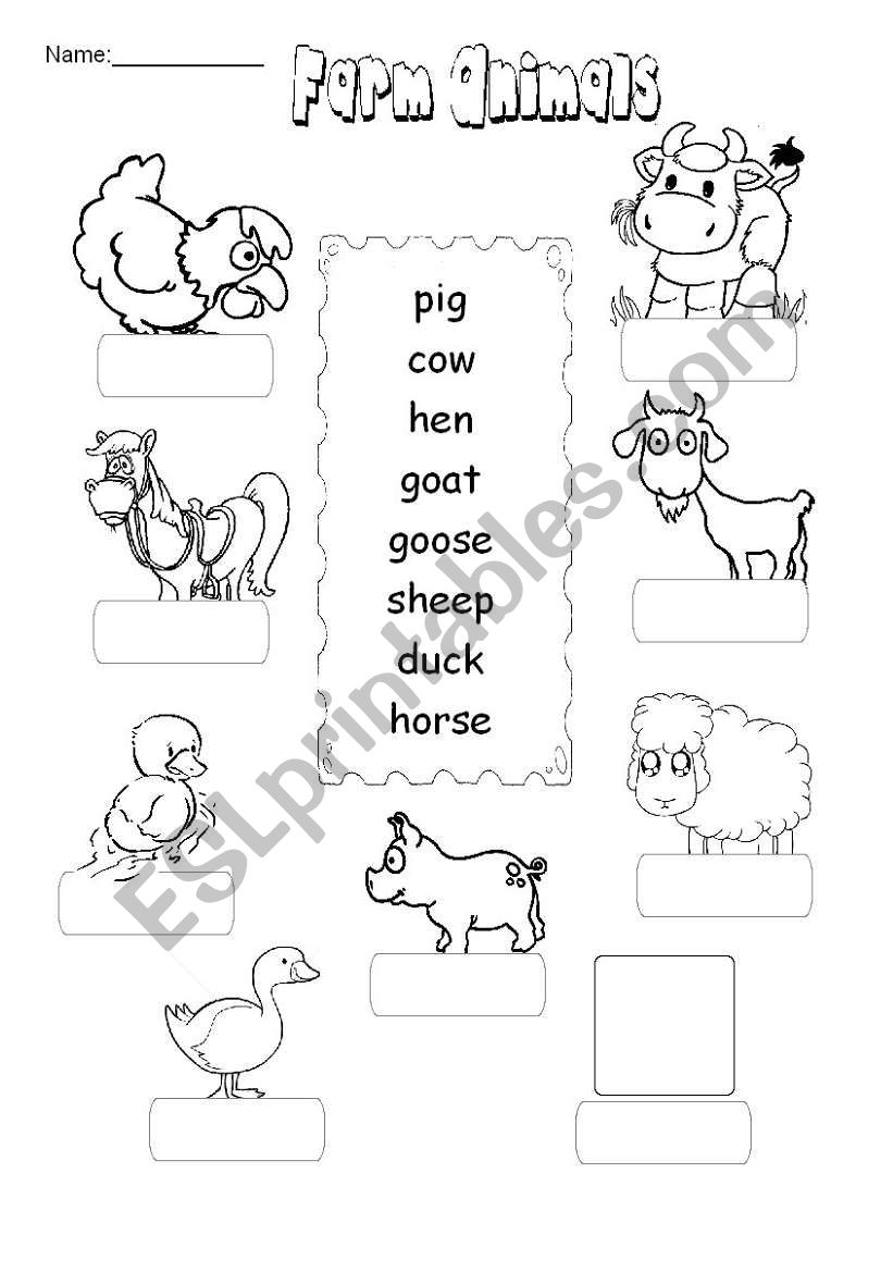 Farm Animal worksheet