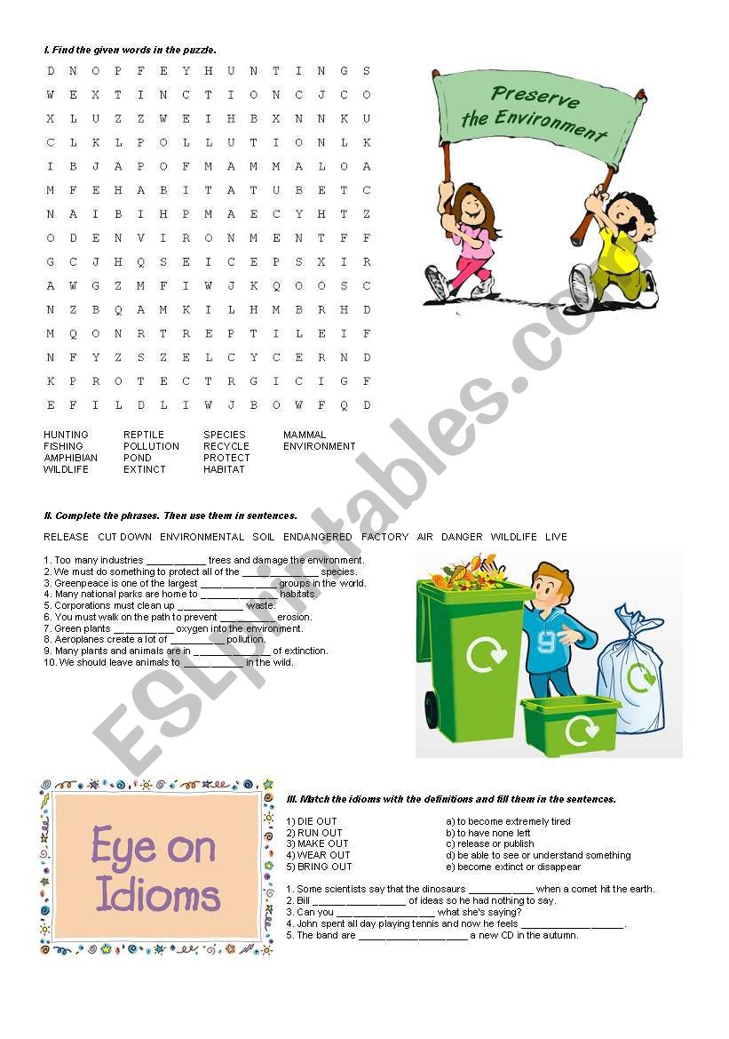 Environment (vocabulary revision)