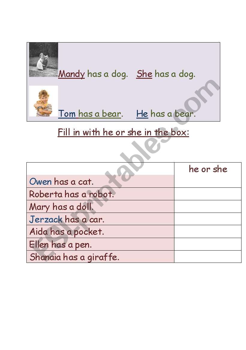 Put he or she worksheet