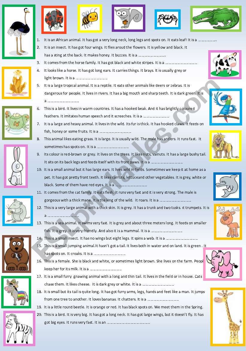 Animals Part 2 worksheet