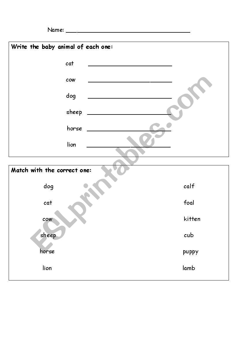 Animals & their Babies worksheet