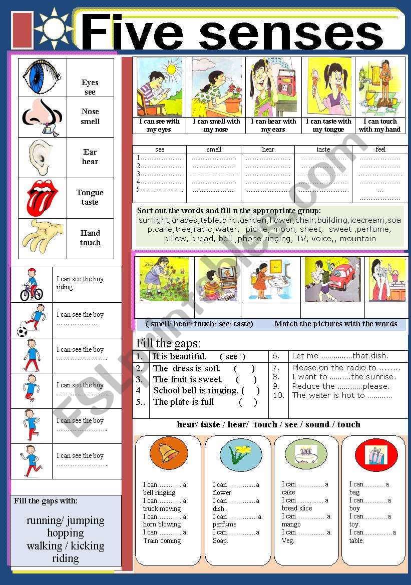 BODY: Five senses worksheet