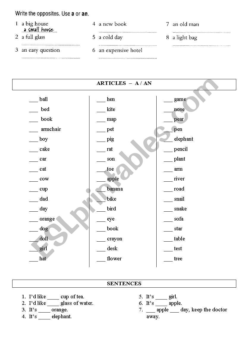 Articles a / an worksheet