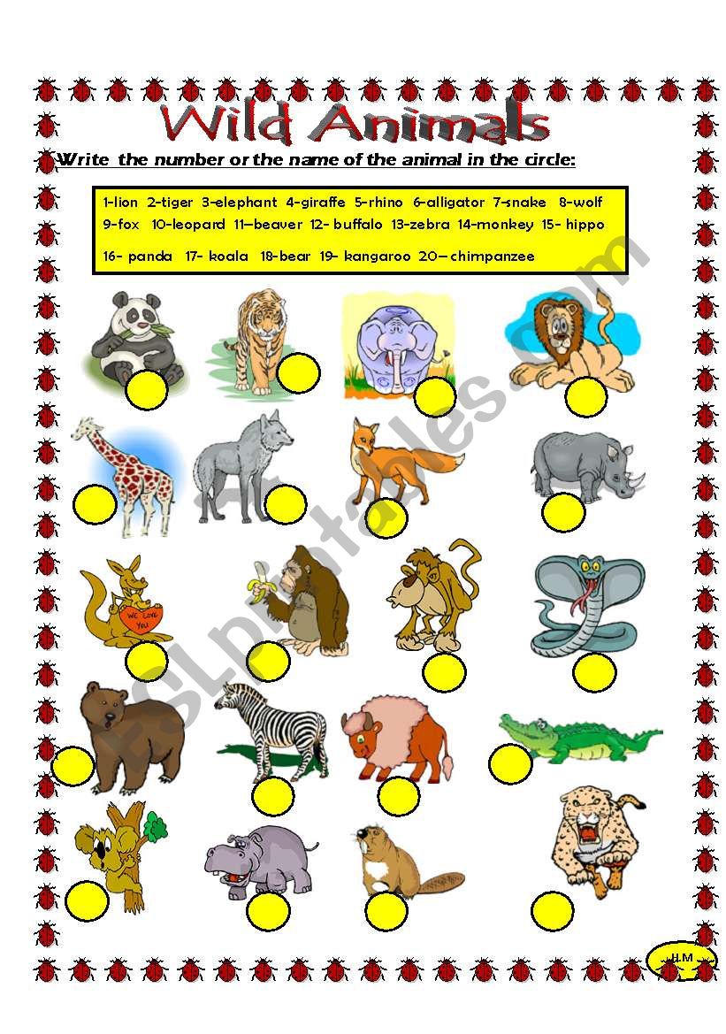 Wild Animals worksheet