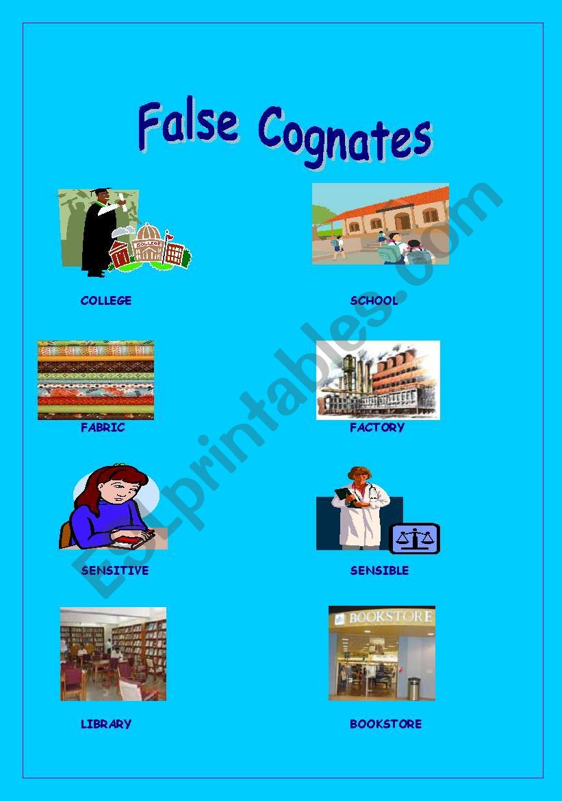 False cognates worksheet